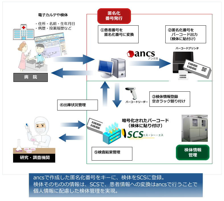 機能